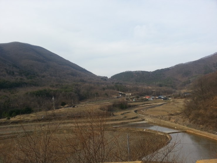 영천양잠협동조합 이미지