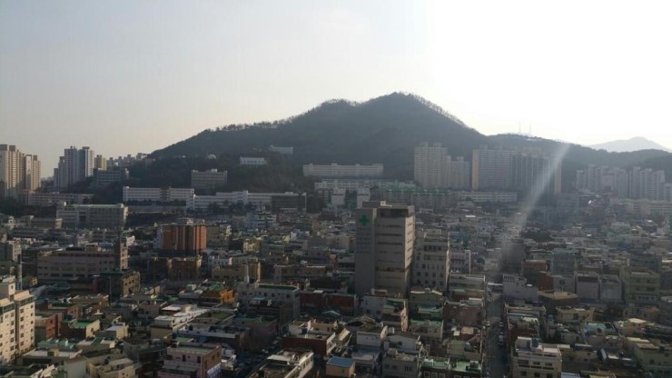 더샵짱 이미지