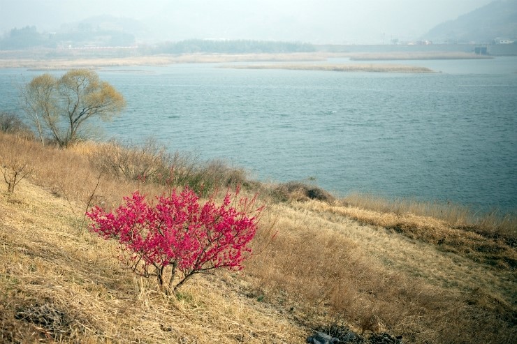 성윤횟집 이미지