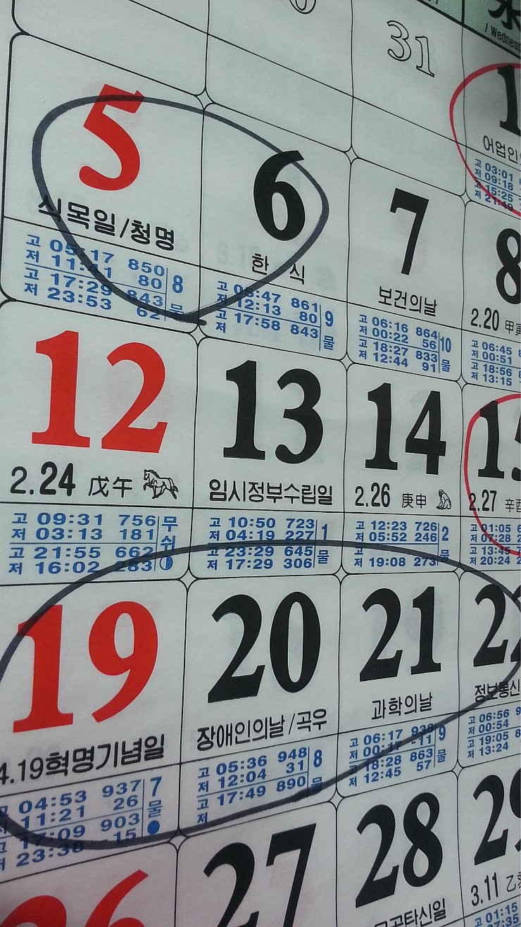 물때따라 이미지