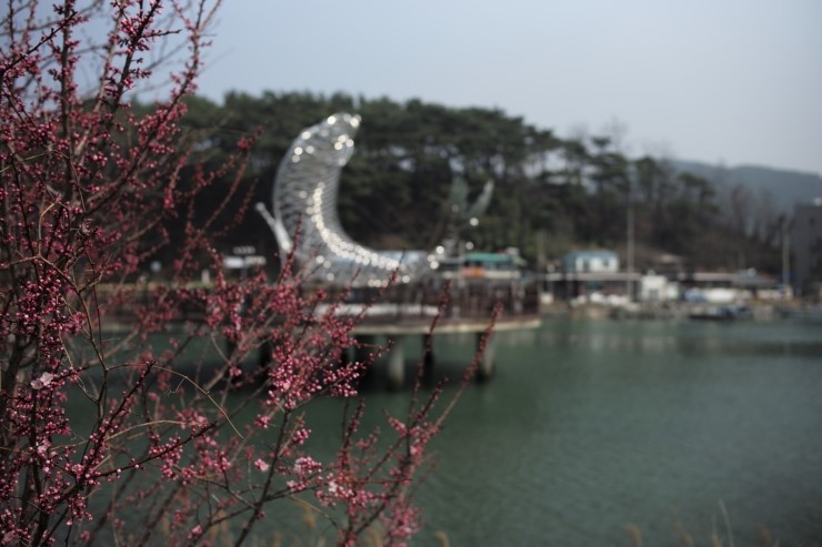 성윤횟집 이미지