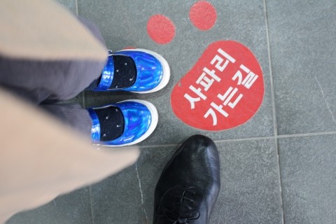 사파리체험테마파크 이미지