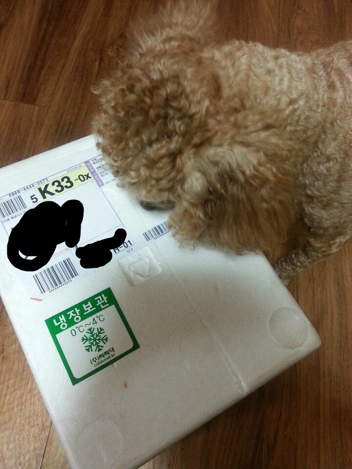 도담몰 이미지