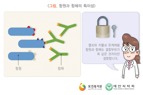 나노시스템 이미지