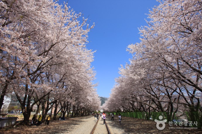 사진찍기좋은날 이미지