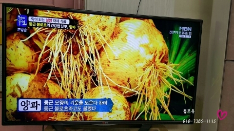 천기누설식품 이미지