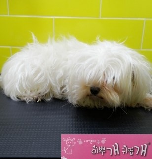 부흥미용실 이미지