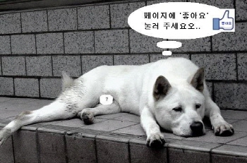 거참 이미지