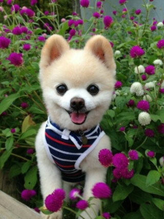 썸타임즈 이미지