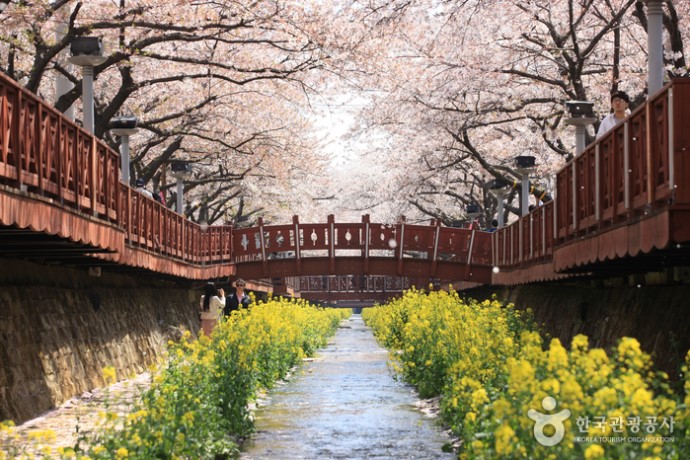 사진찍기좋은날 이미지