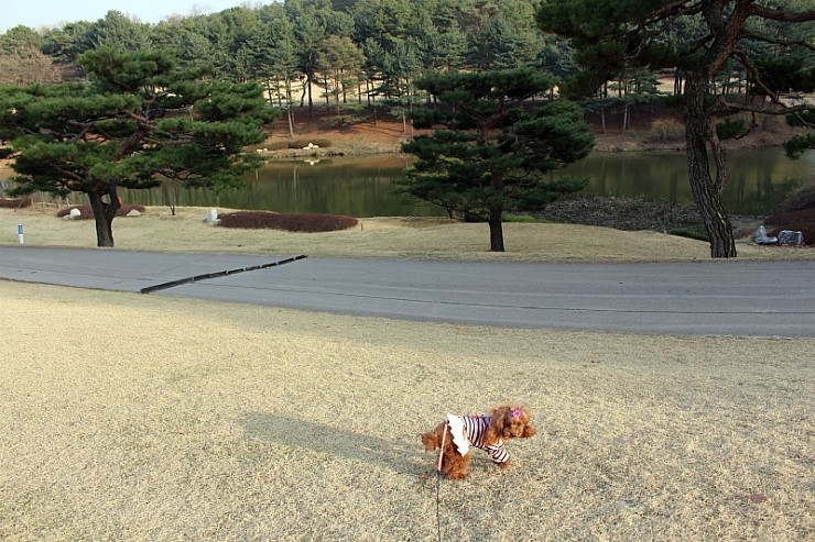 꾸미뇽 이미지