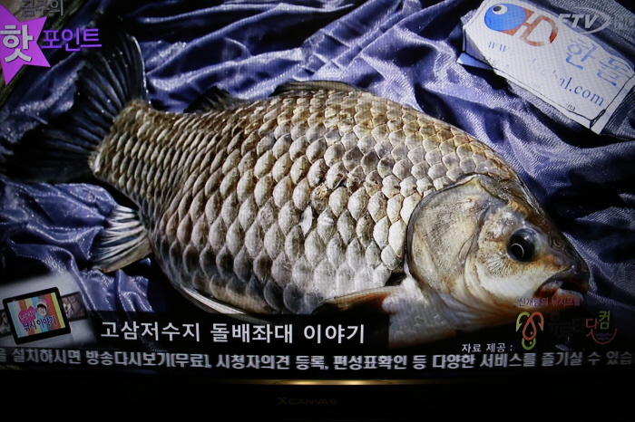 고삼닷컴 이미지