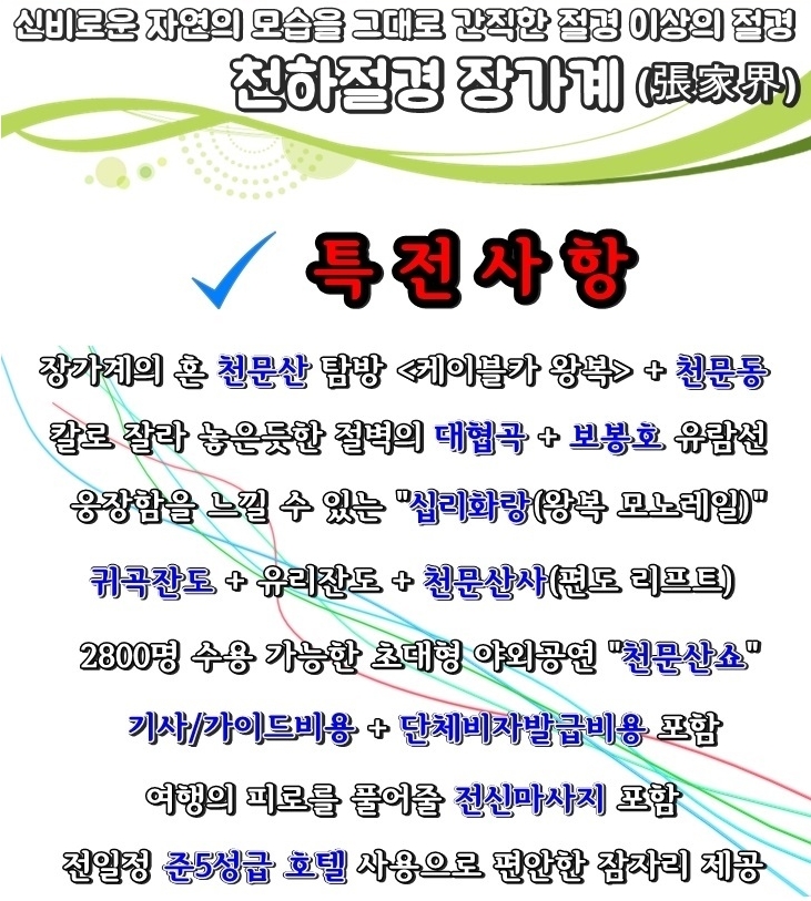 푸른항공여행사 이미지
