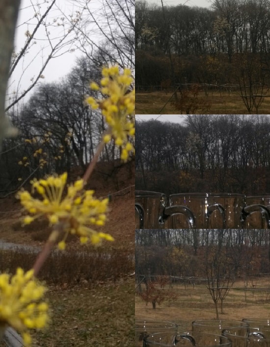 엠보보 이미지