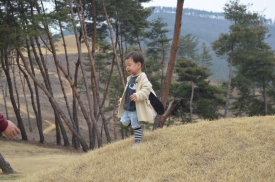 대가야보쌈 이미지