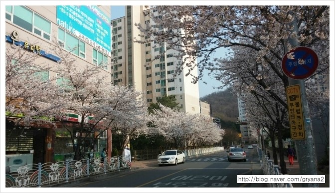 김희영치과 이미지