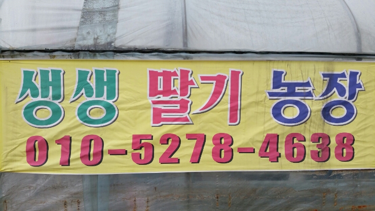 단월어린이집 이미지