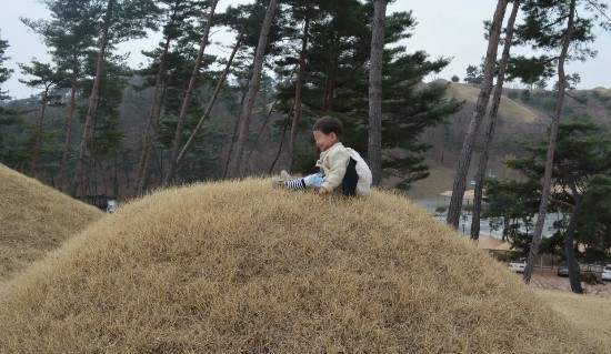 대가야보쌈 이미지