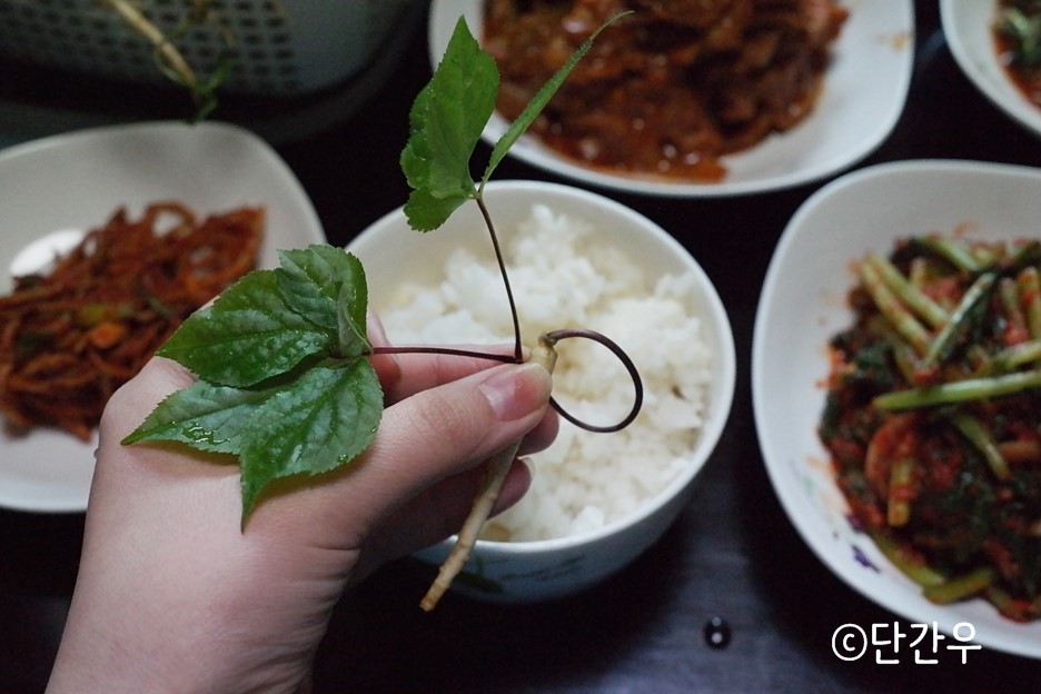 윤희네농장 이미지