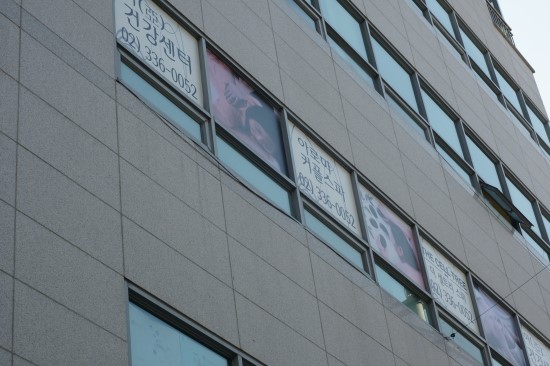 더셀트리스파 이미지
