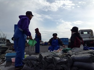 하마인력 이미지