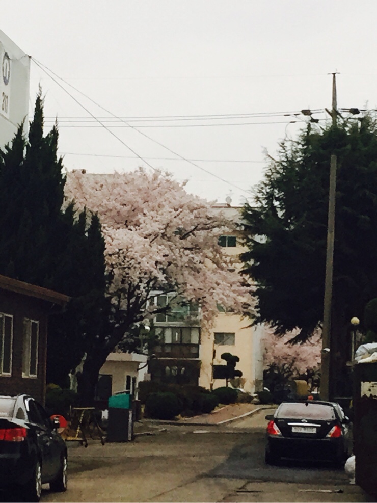 소춘삼숯불시대 이미지