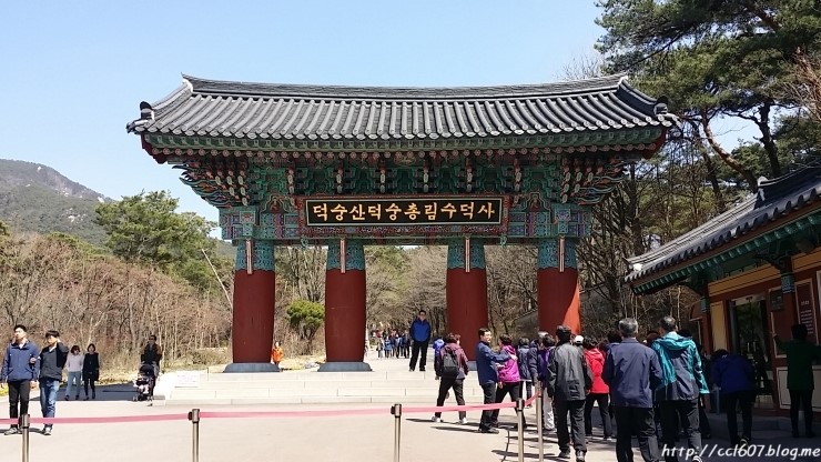 백제여관 이미지