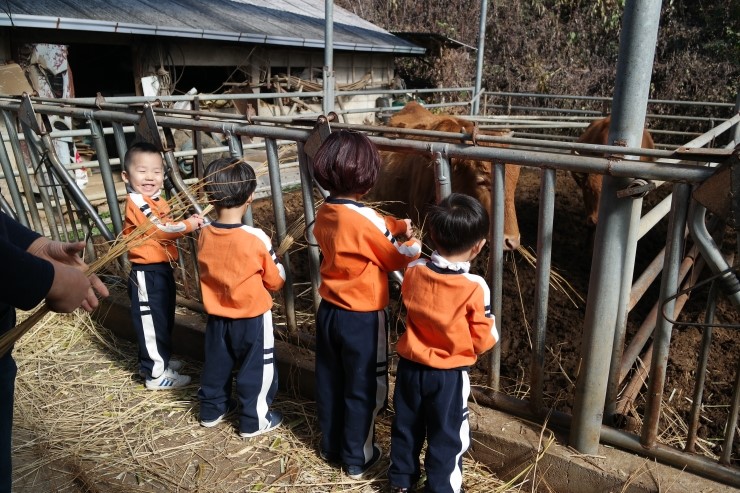 홍천떡팜 이미지