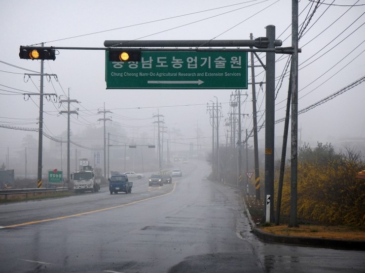 계룡농산 이미지