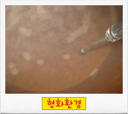현화환경 이미지