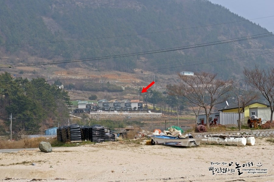코델리아스파펜션 이미지