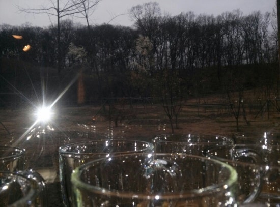 엠보보 이미지