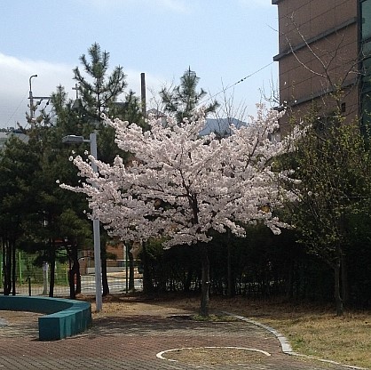팡팡산업인력 이미지