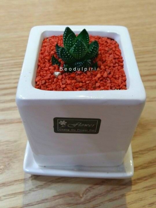 버들피리 플라워까페 이미지