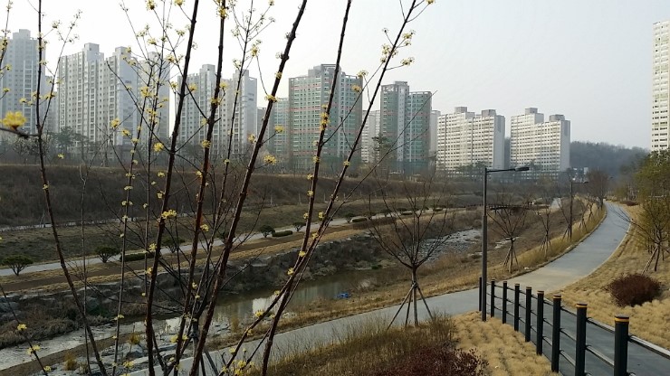 하이에듀 이미지