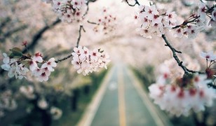 스튜디오얼라인 이미지