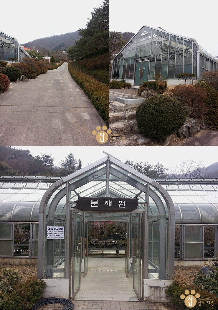 푸른분재원 이미지