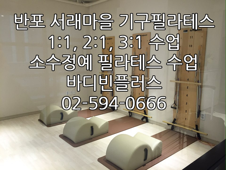 바디플러스 이미지