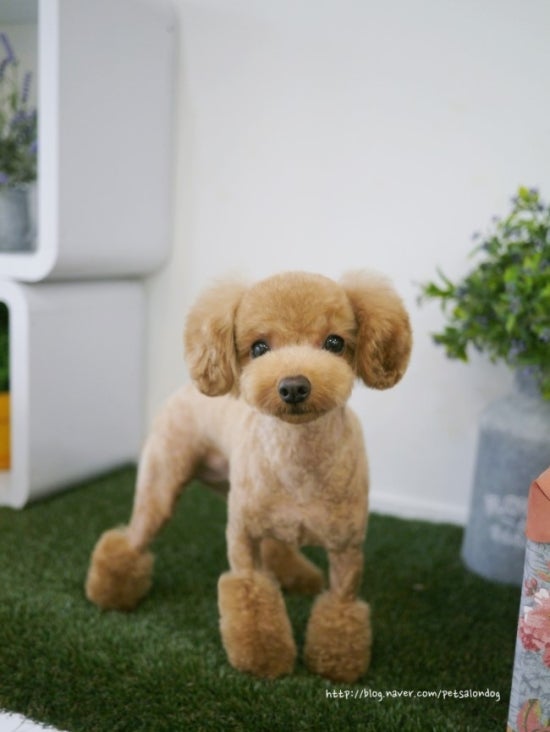 보름 이미지