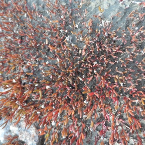 잠이요침구 이미지