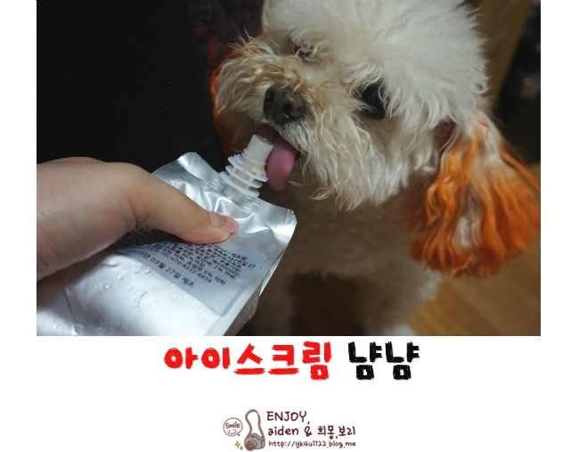 아이스+펫 이미지