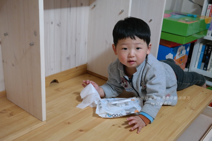 콩알팩토리 이미지