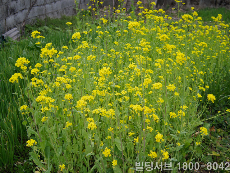 진동버스환승장 이미지