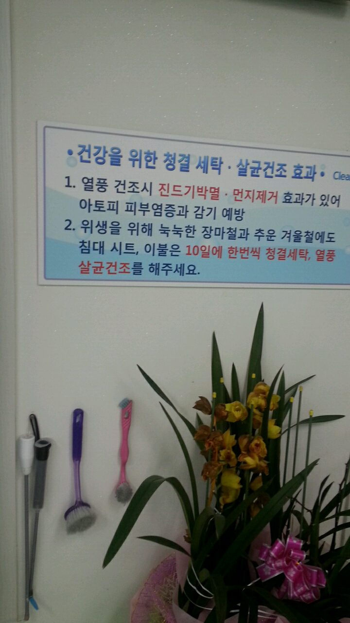 와우빨래방 이미지