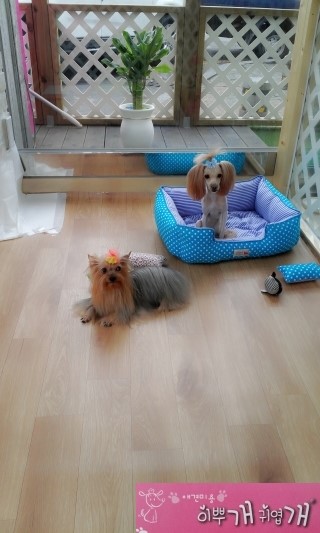 부흥미용실 이미지