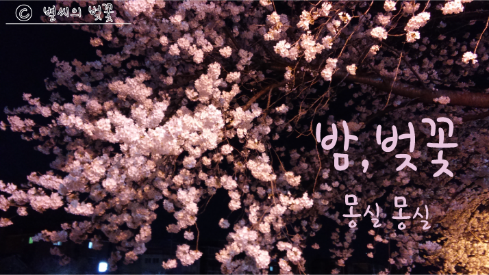 지오소피 이미지