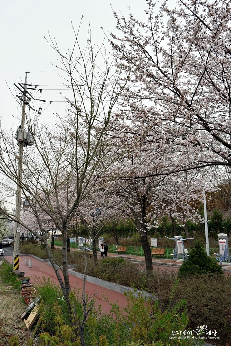 미미네텃밭 이미지