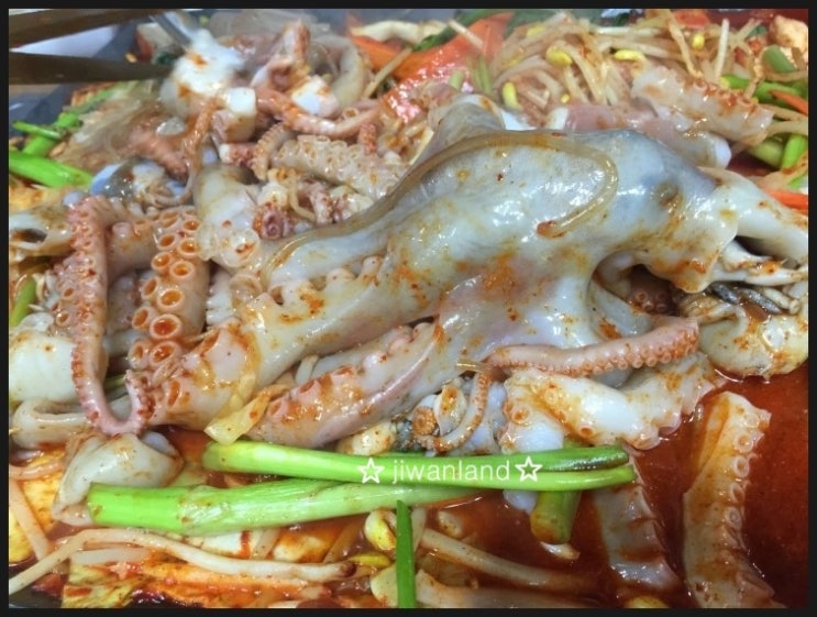 고창 낙지마당 이미지