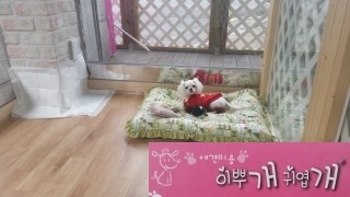 부흥미용실 이미지