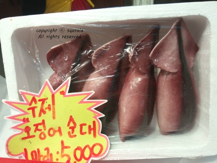 속초아저씨튀김맛집 이미지